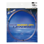 Leader